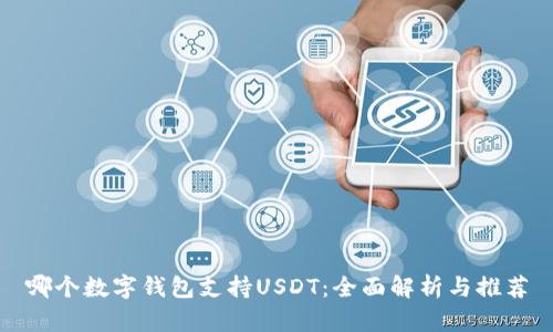 哪个数字钱包支持USDT：全面解析与推荐