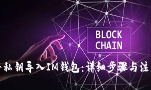 如何将私钥导入IM钱包：详细步骤与注意事项