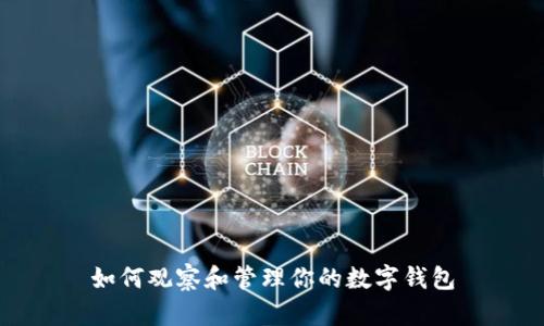如何观察和管理你的数字钱包