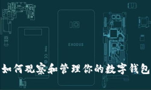 如何观察和管理你的数字钱包