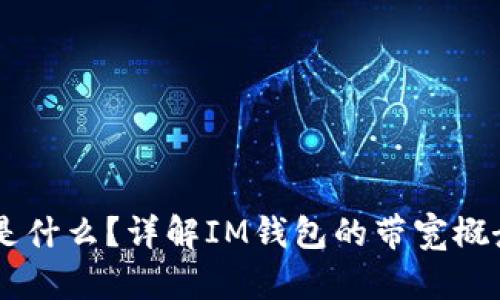 IM钱包带宽是什么？详解IM钱包的带宽概念与使用技巧
