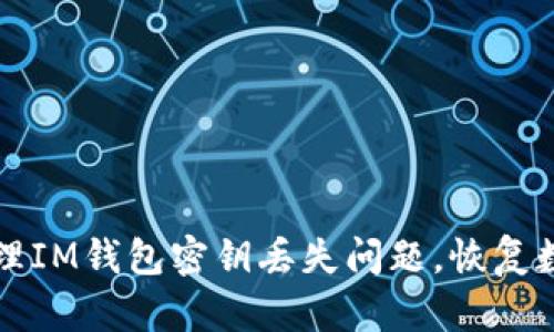 如何处理IM钱包密钥丢失问题，恢复数字资产
