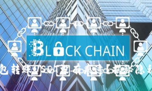 用哪种钱包转账USDT没有痕迹？揭秘隐私转账技术