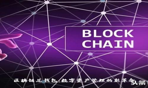 区块链总钱包：数字资产管理的新革命